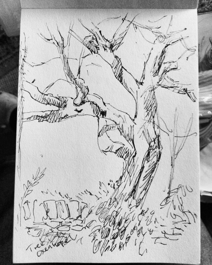 IMG_20171030_120235_960