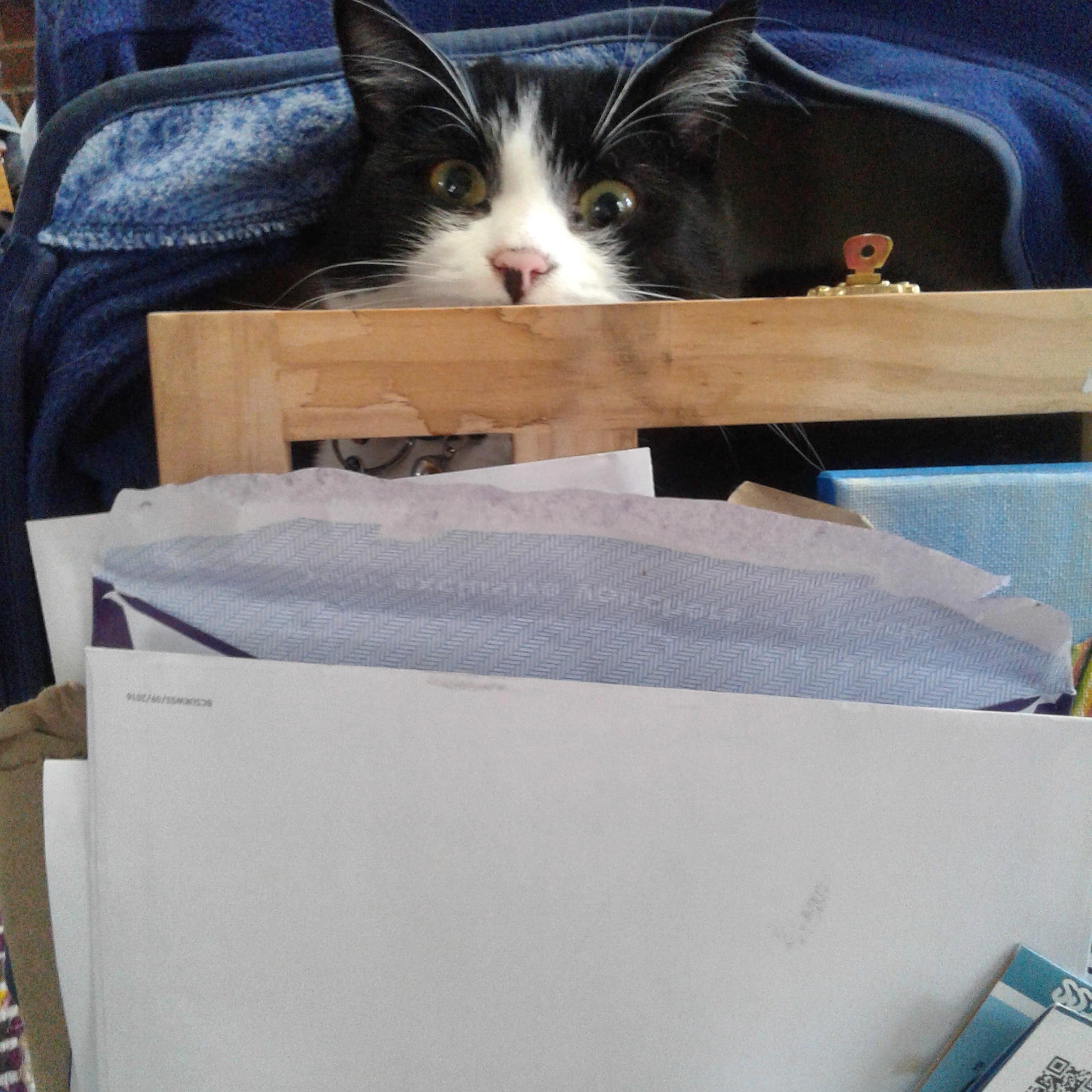 IMG_20180329_113816_099