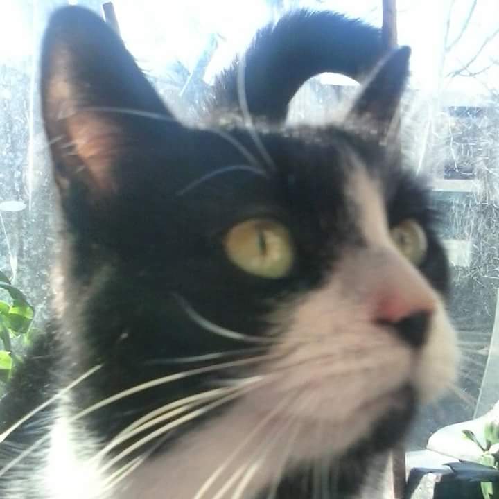 FB_IMG_1522580212946