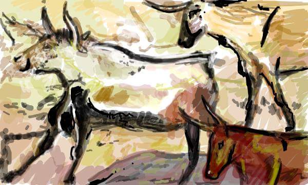 FB_IMG_1527072942495