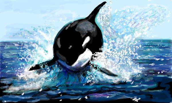 FB_IMG_1527073024975