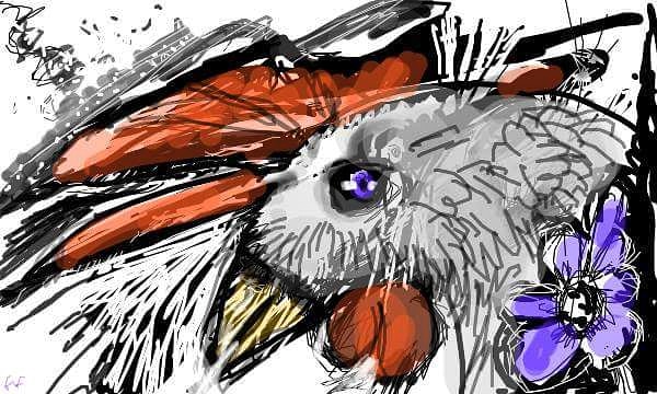 IMG_20180523_134712_698