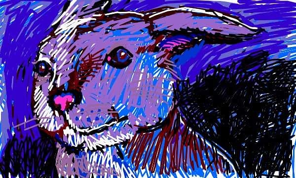 IMG_20180528_225147_243