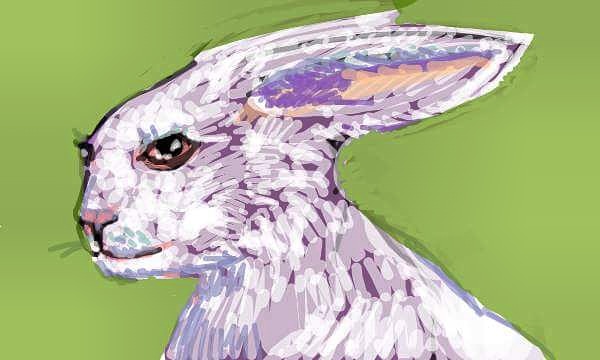 IMG_20180528_225822_483