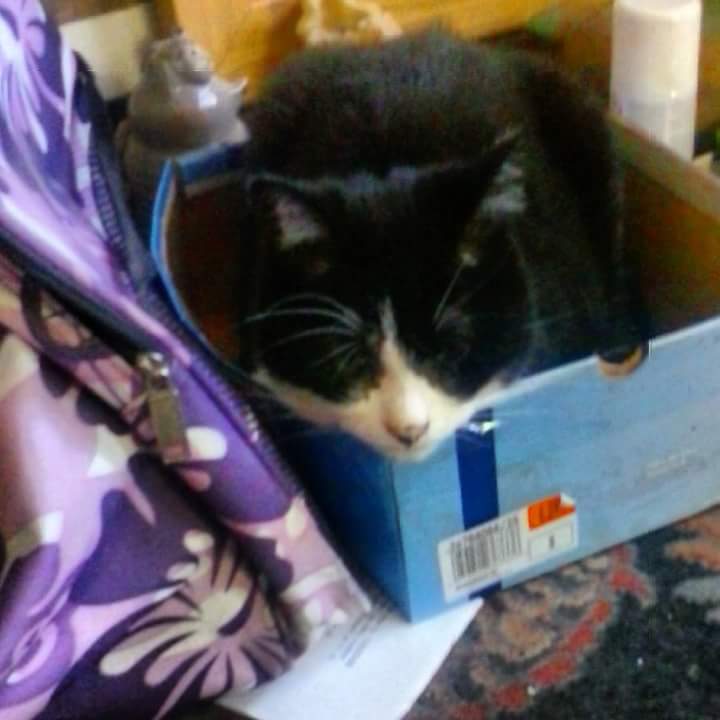 FB_IMG_1528711975582