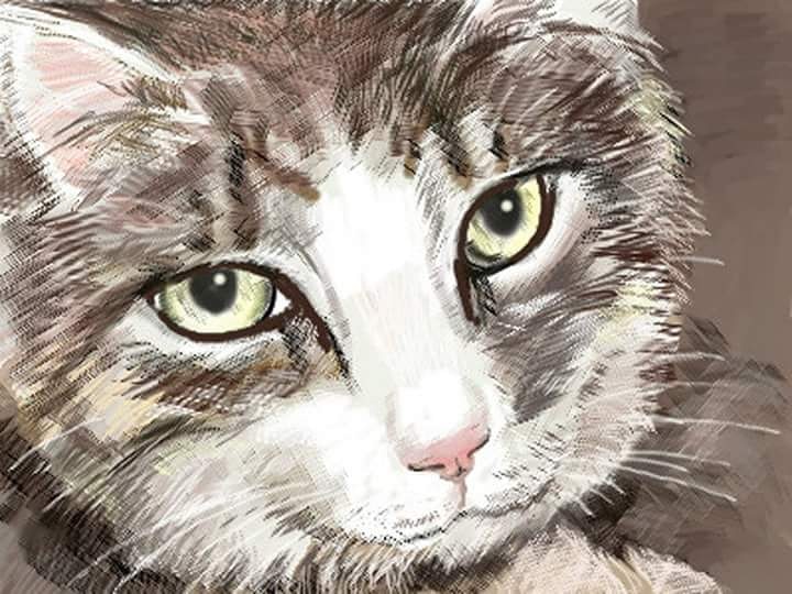 IMG_20180617_131054_888