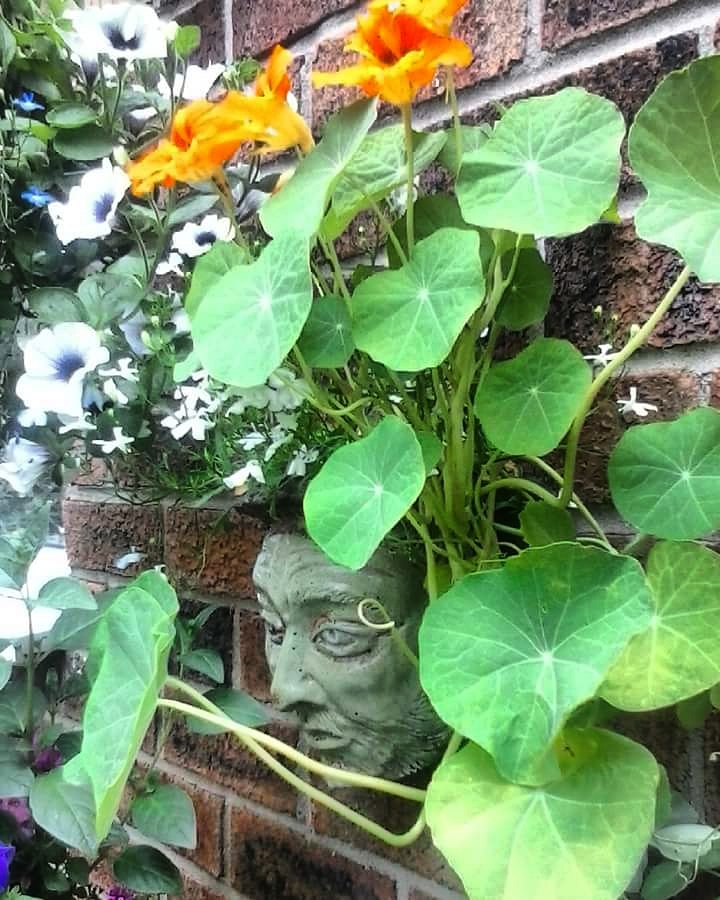 IMG_20180619_141557_656