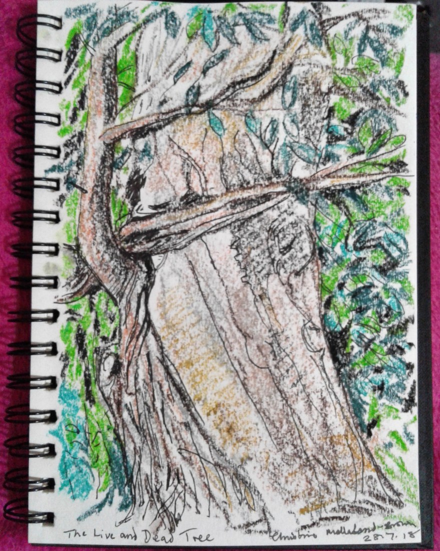 IMG_20180728_172922_812