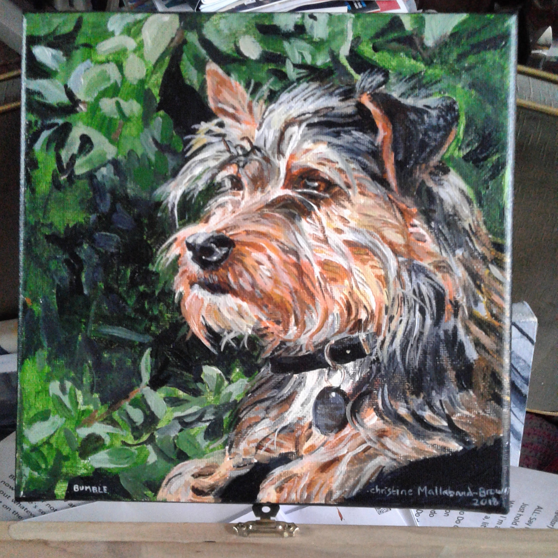 IMG_20180803_171752_248