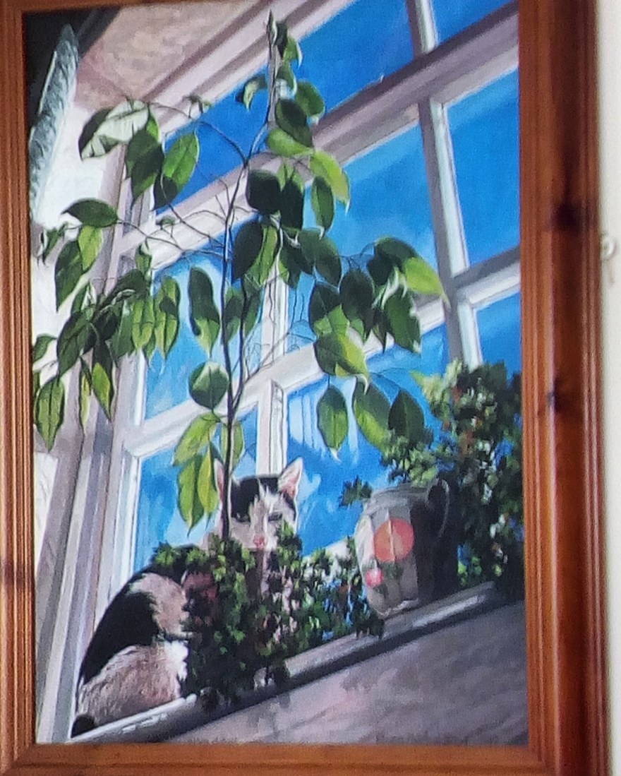 IMG_20180812_232526_788