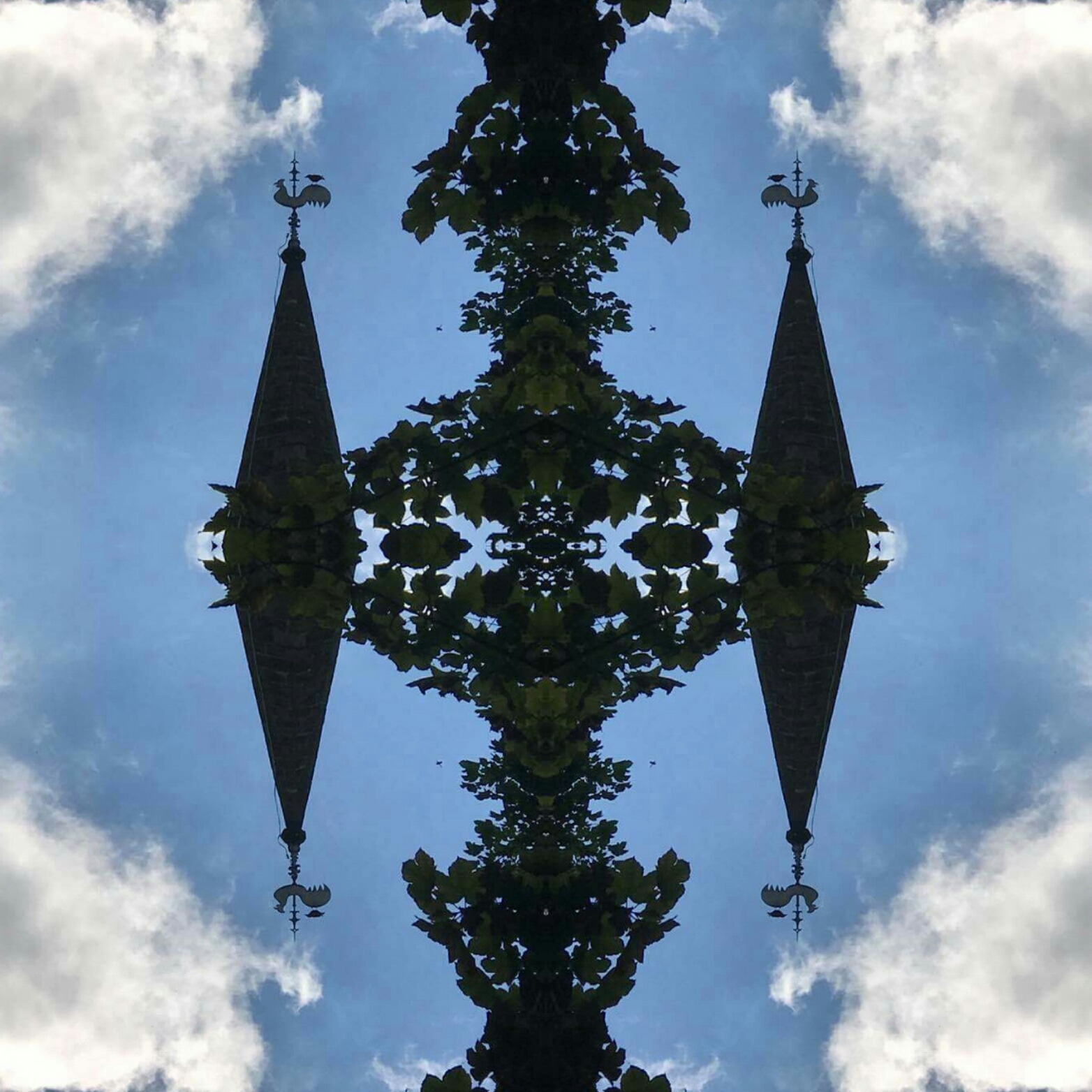 IMG_20180817_203611_860