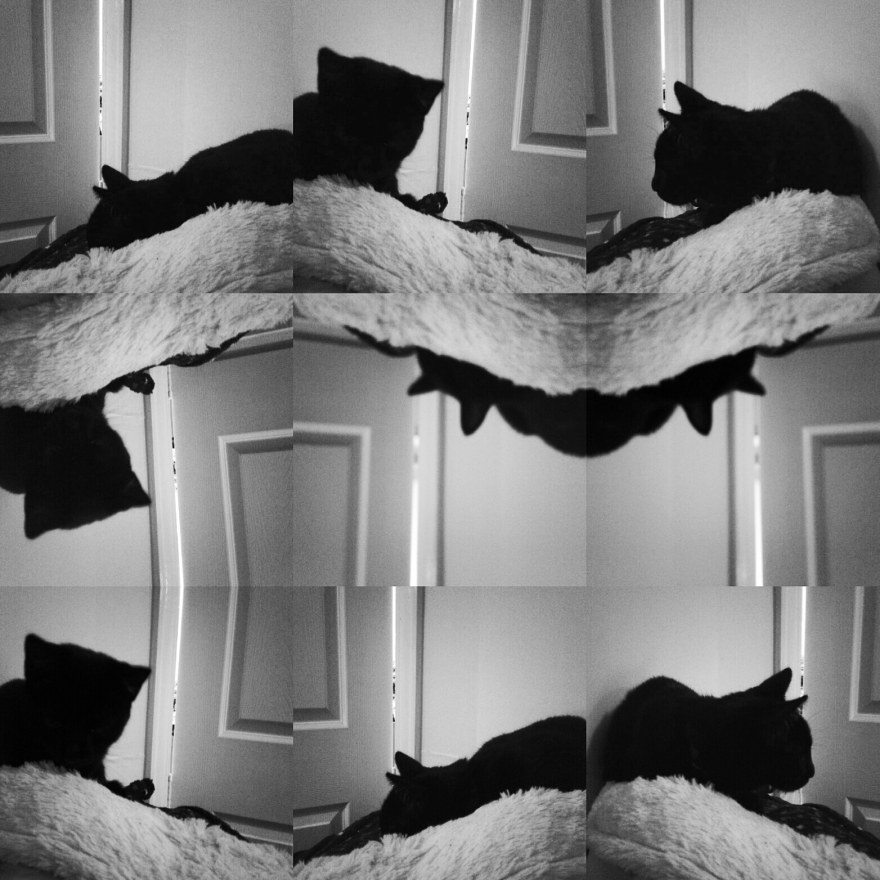 IMG_20180823_074446_405