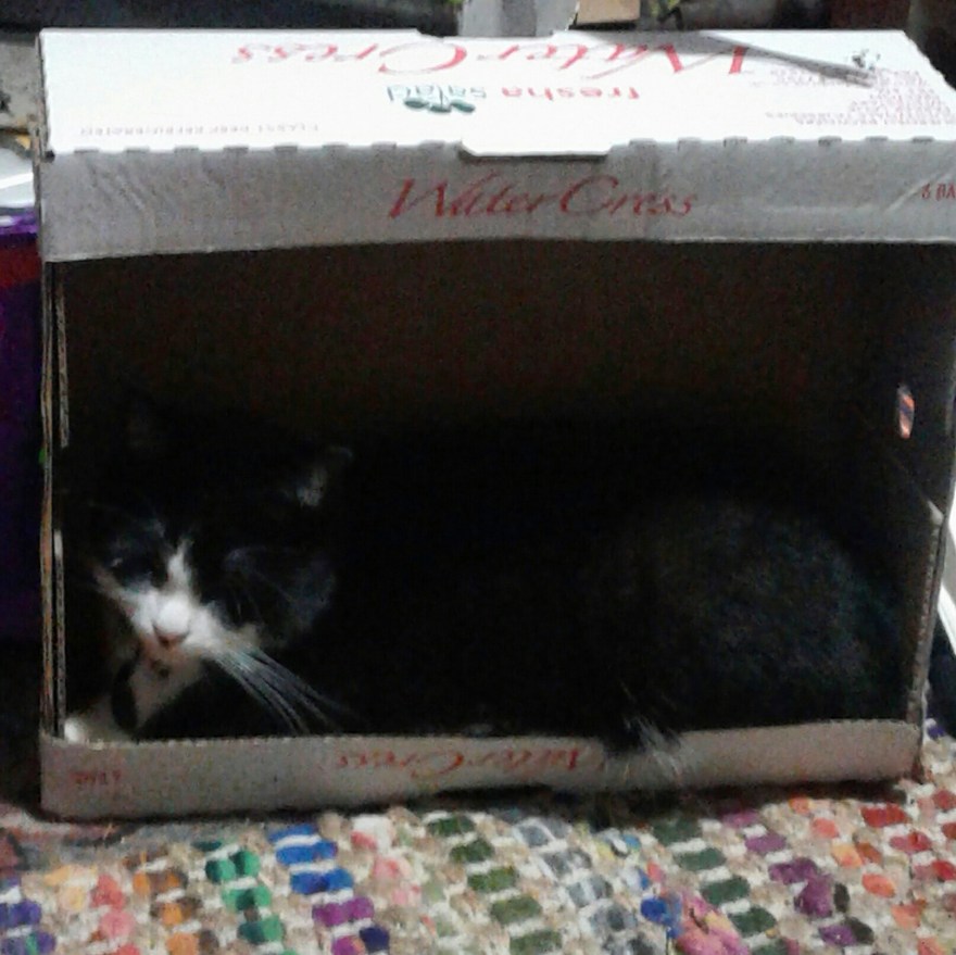 IMG_20180827_223732_640