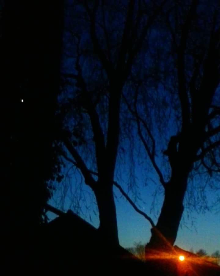 FB_IMG_1524173482026