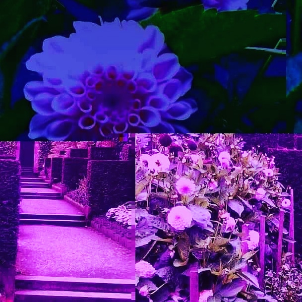 IMG_20180919_231558_555