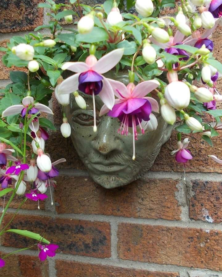 IMG_20180919_231653_485