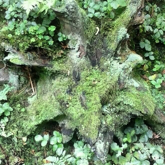 IMG_20180919_231813_882