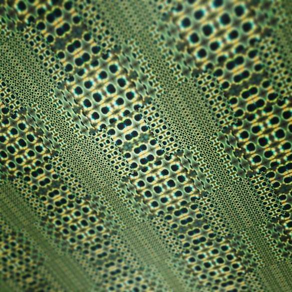 FB_IMG_1539906368919