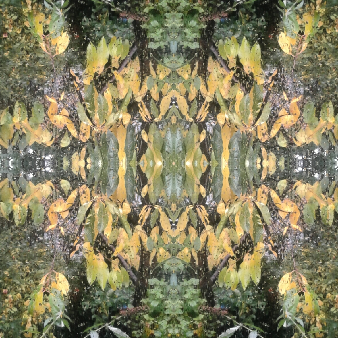 IMG_20181014_134649_283