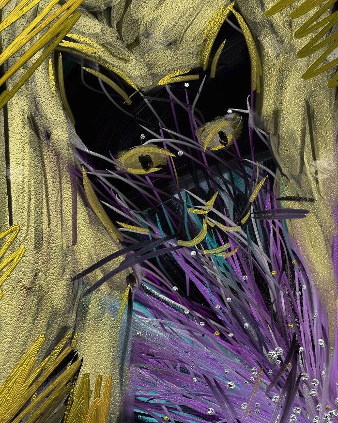 IMG_20181110_153642_811