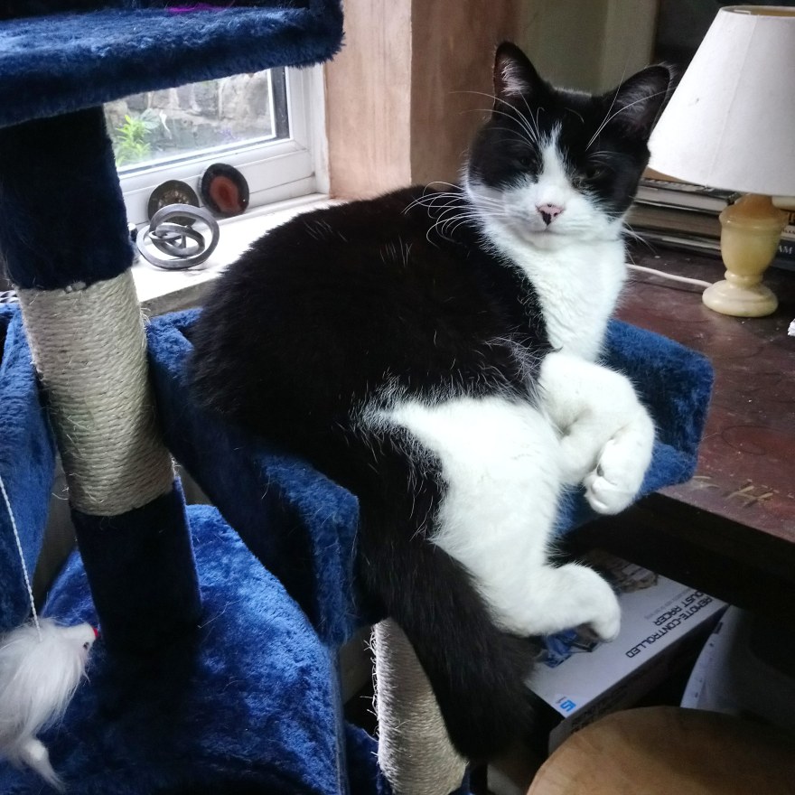 IMG_20181120_123533_599