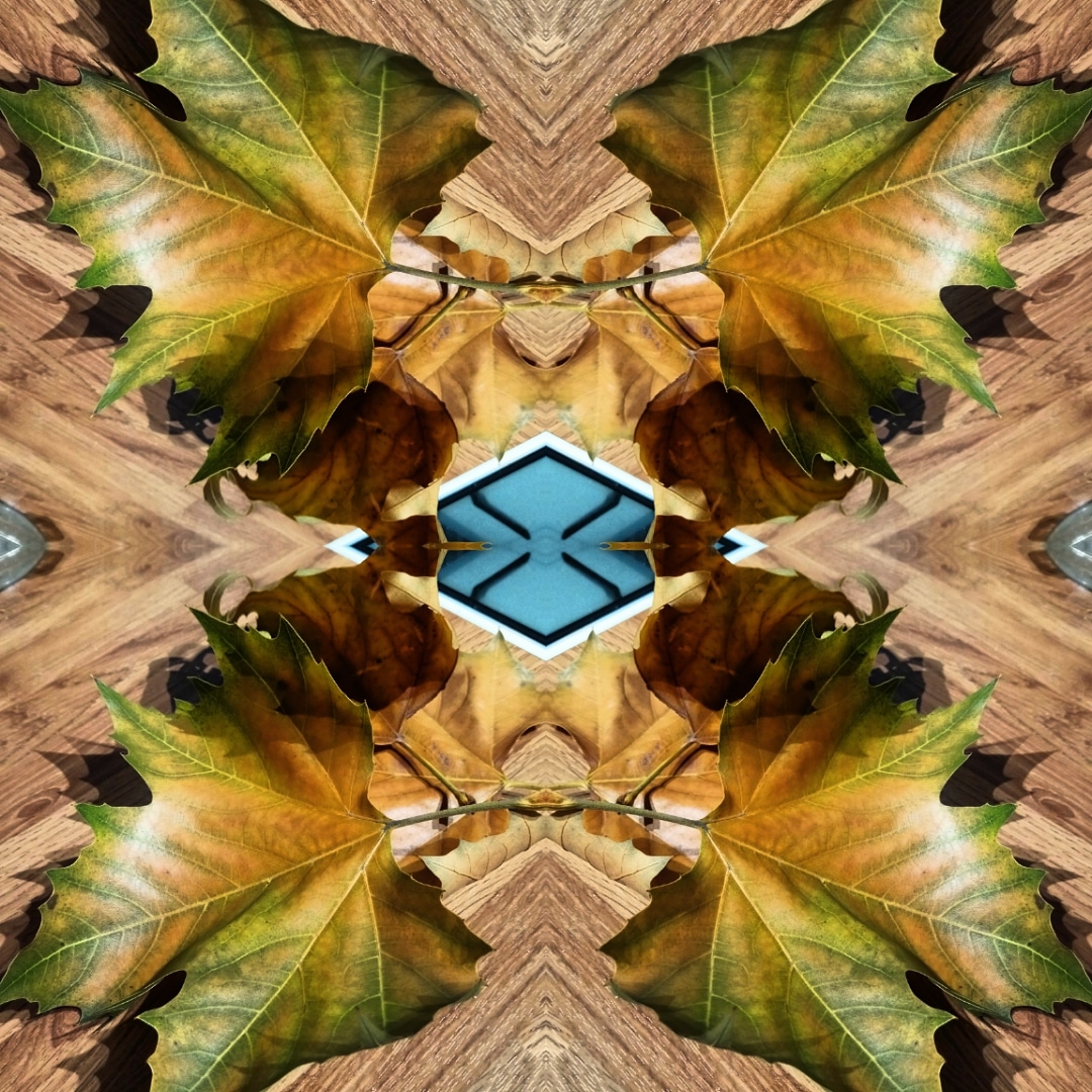 IMG_20181122_184435_647