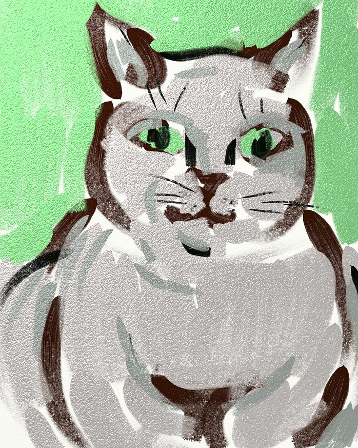 IMG_20181123_162601_199