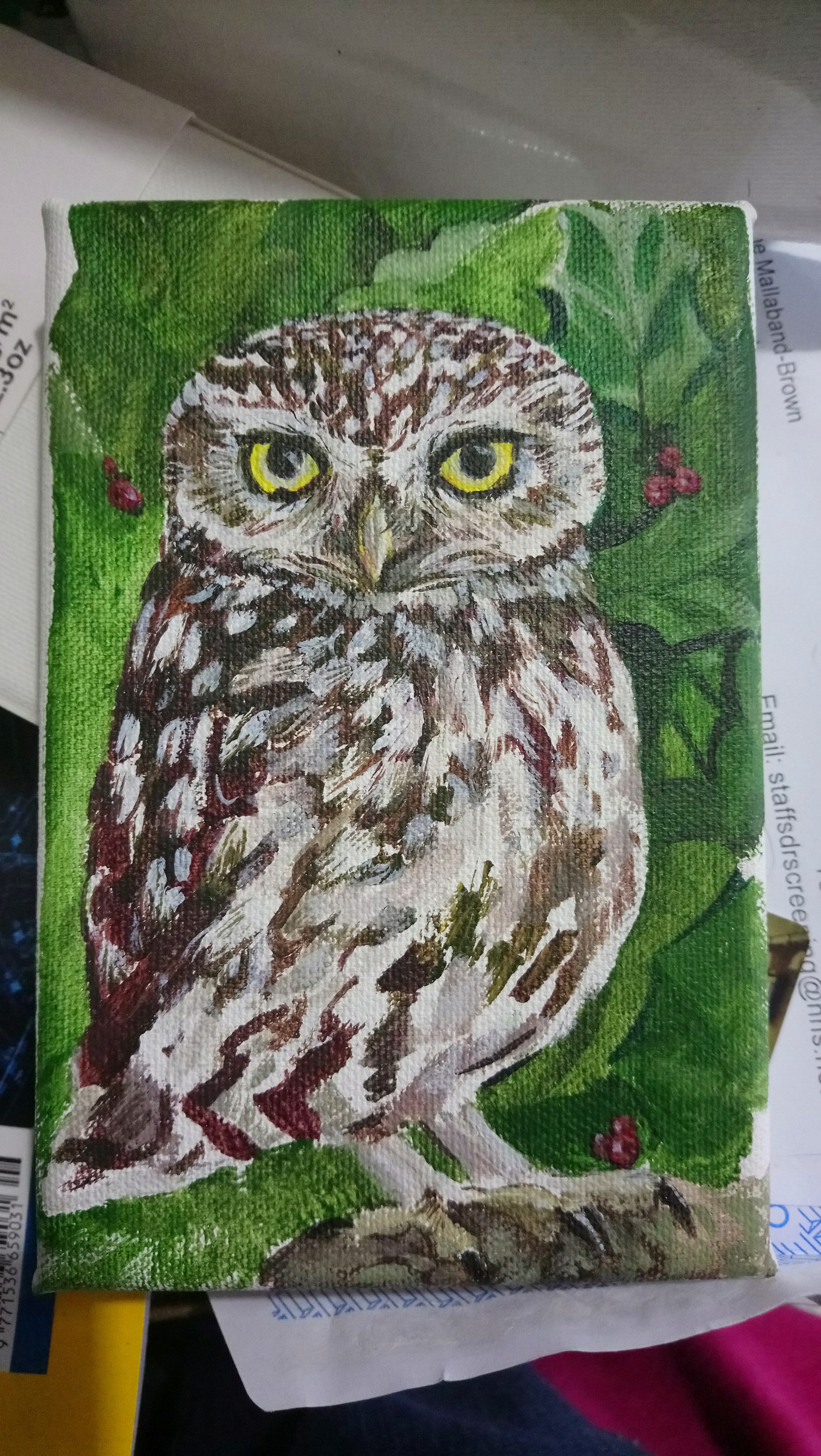 15445364490135930152114254523685