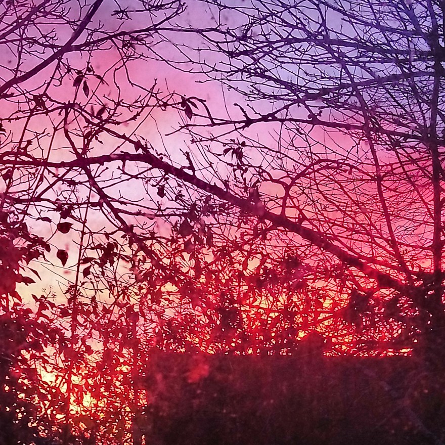 IMG_20181213_075952_559