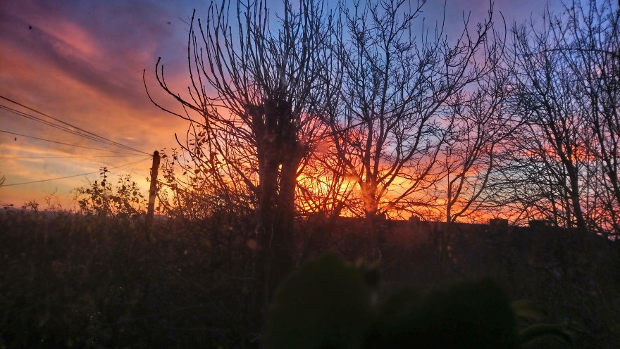 IMG_20181213_080225_694