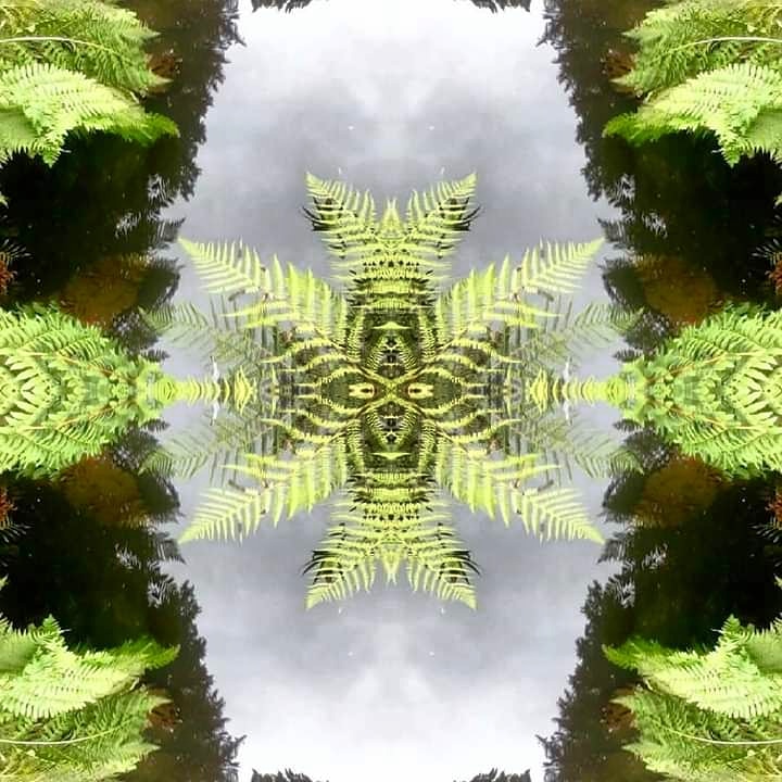 IMG_20181214_010145_056