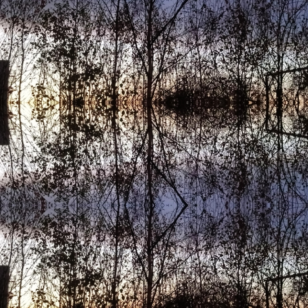 IMG_20181202_225825_018