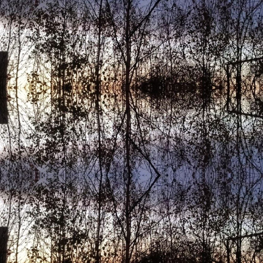 IMG_20181202_225825_018