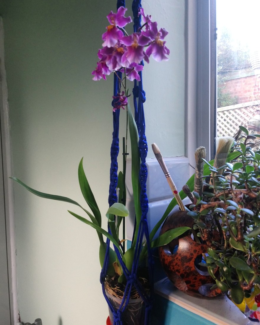 IMG_20190103_100622_634