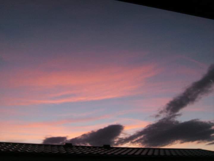 fb_img_1547595767731