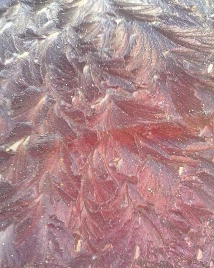 fb_img_1547860948192