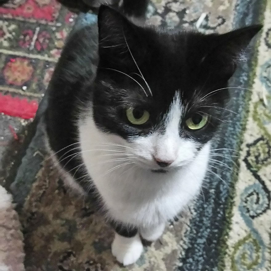 img_20190104_213052_781