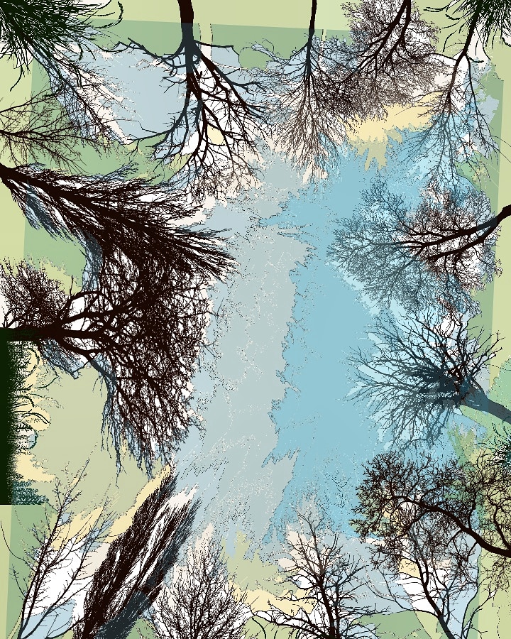 img_20190109_202815_469