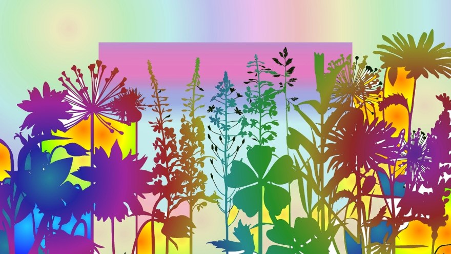 img_20190112_225041_264