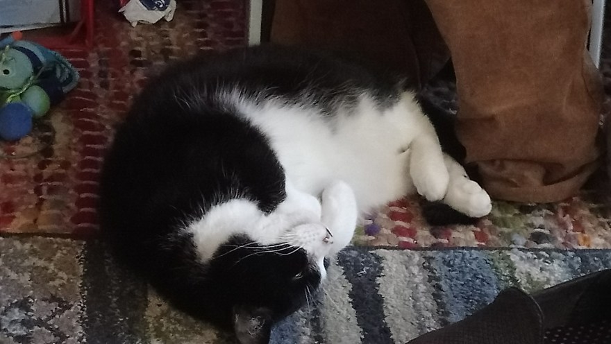 15512737764873707004712779304832