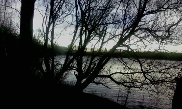 FB_IMG_1548983654589