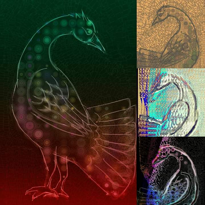 FB_IMG_1550971742207