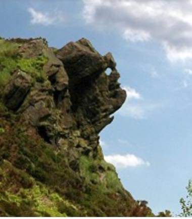 FB_IMG_1551010228935