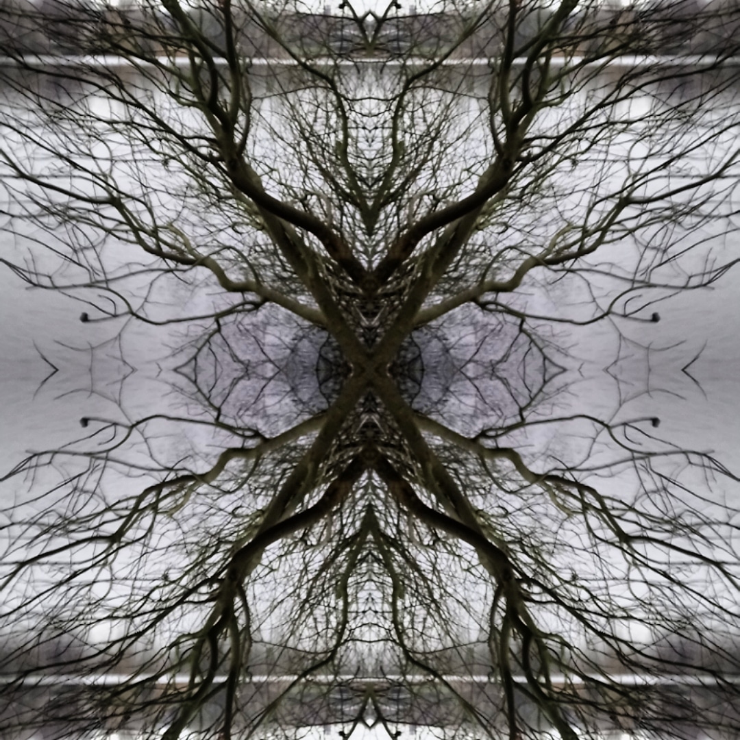 IMG_20190105_180618_043