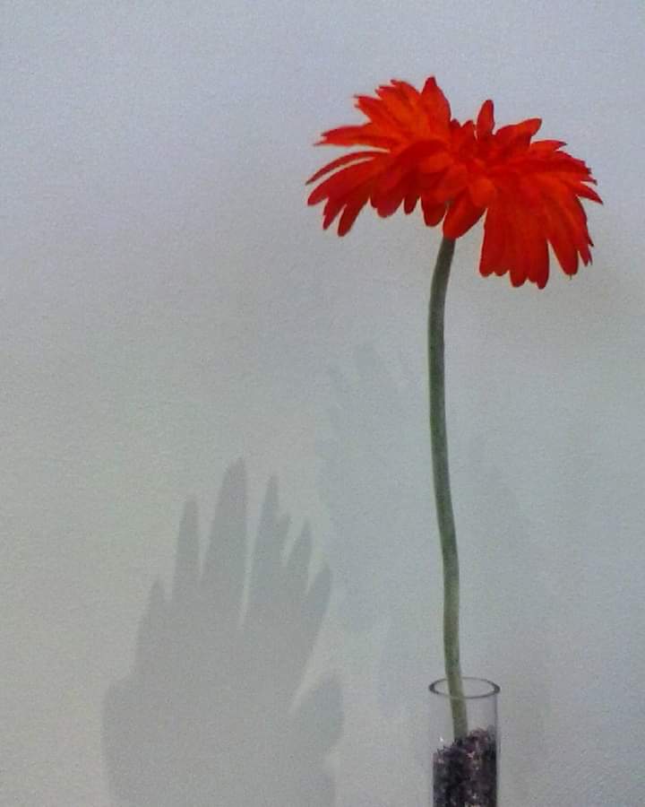 FB_IMG_1552956011130