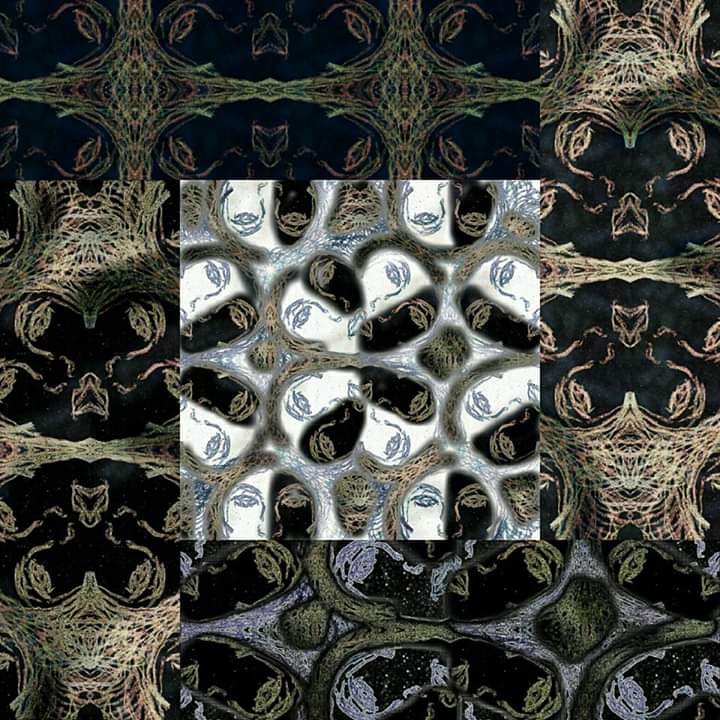 FB_IMG_1553040956949