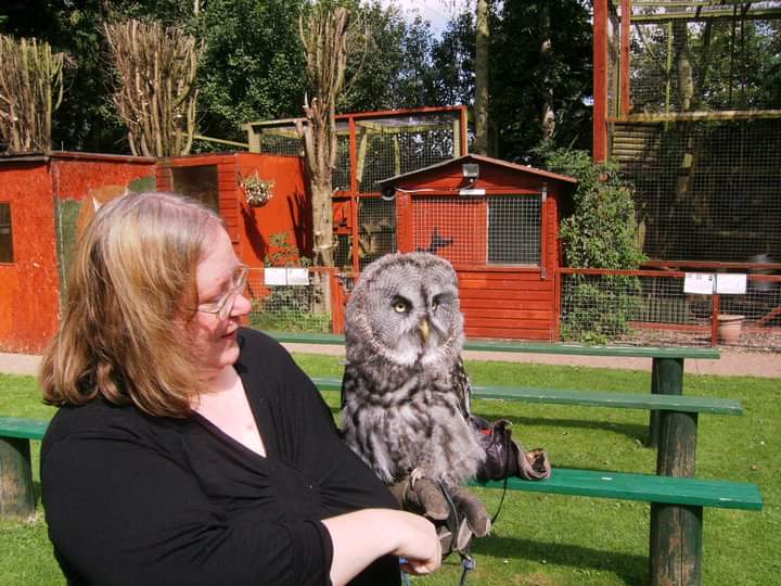 FB_IMG_1553041002021