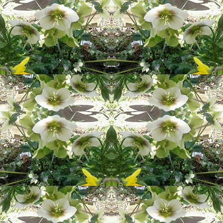 IMG_20190331_173954_091