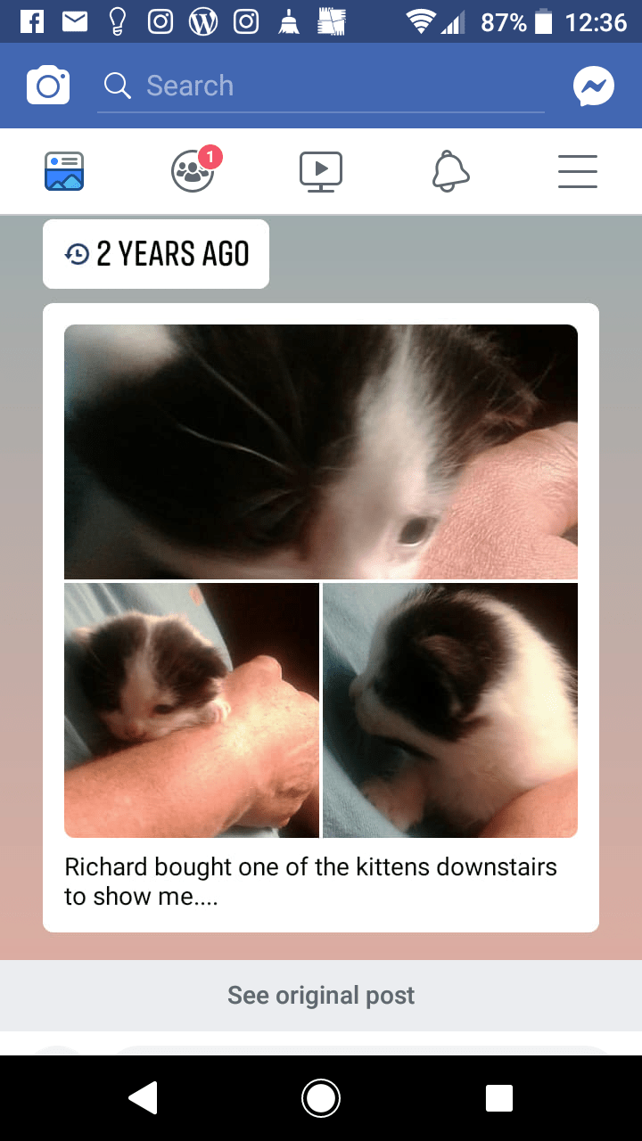 Screenshot_20190330-123656