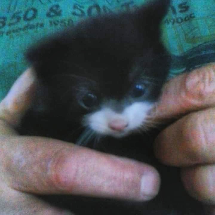 IMG_20190407_191207_018